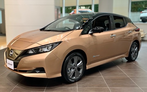 Nissan Leaf 2021 года, 110 кВт